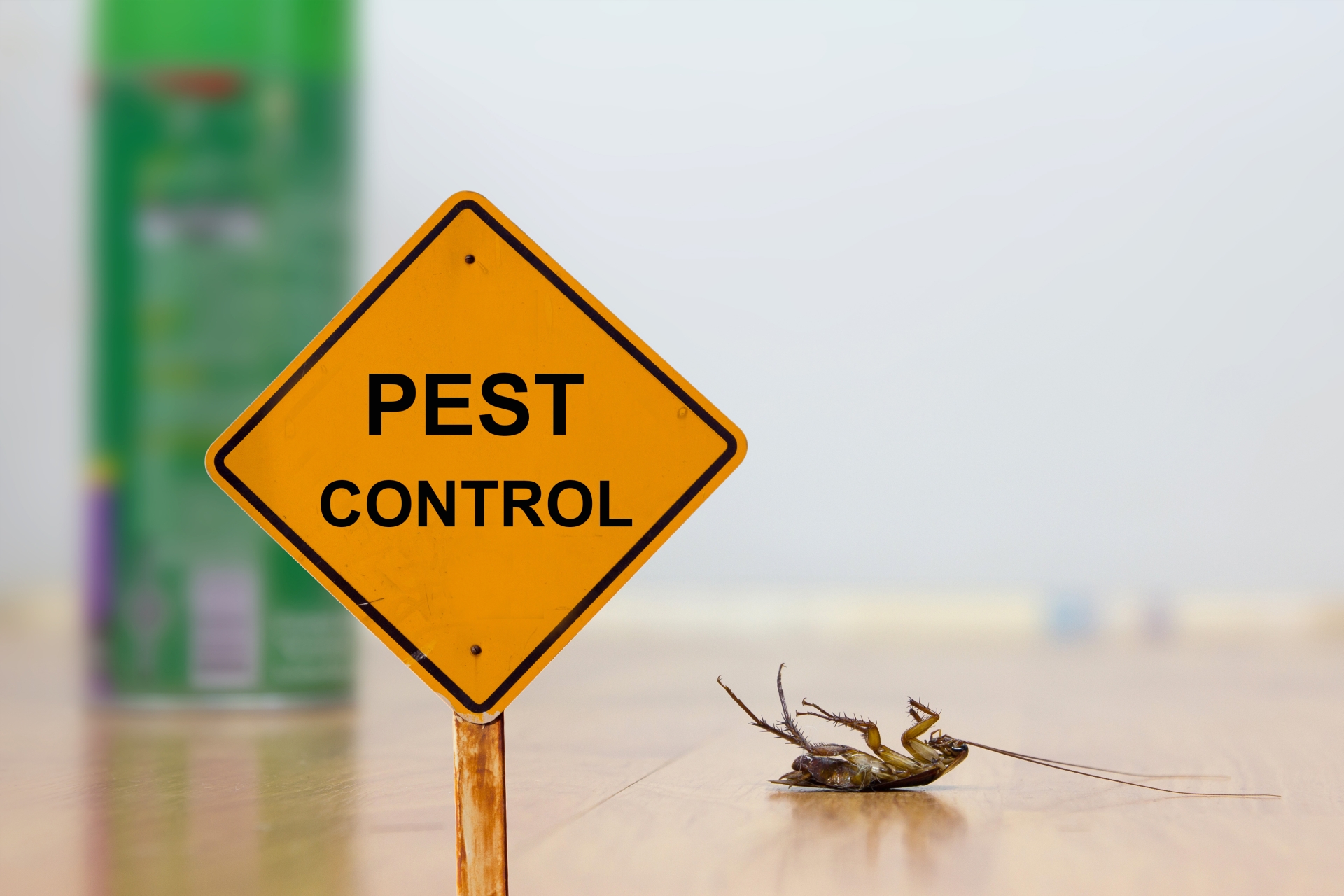 24 Hour Pest Control, Pest Control in Ruislip, South Ruislip, Ruislip Manor, HA4. Call Now 020 8166 9746